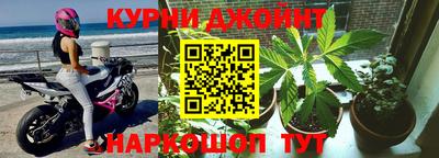 шишки Пенза