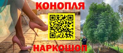 шишки Пенза